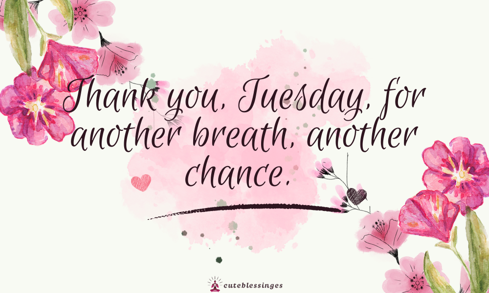 tuesday-blessings