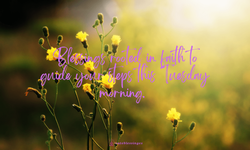 tuesday-morning-blessings