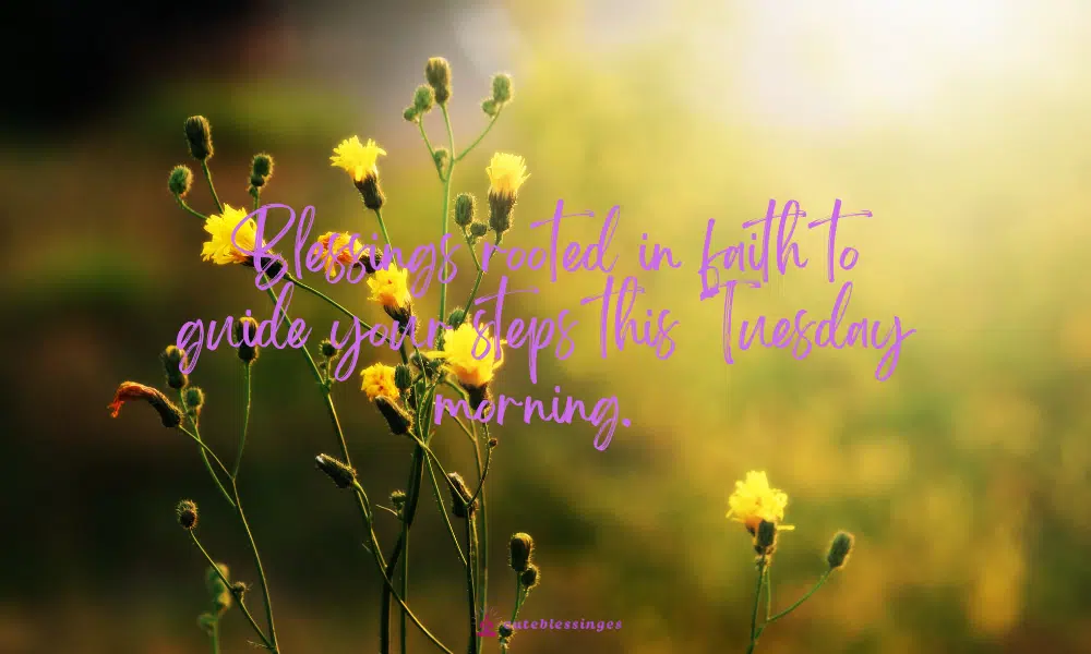 tuesday-morning-blessings