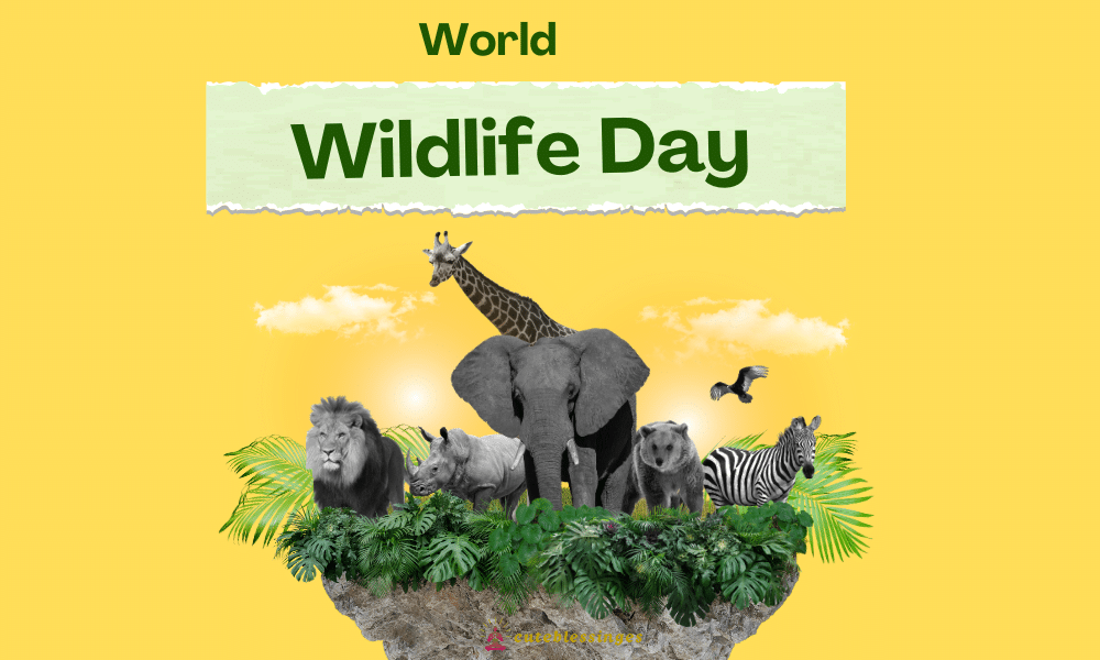 World Wildlife Day 